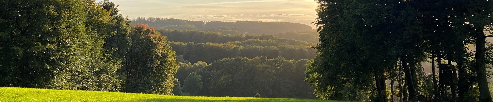 Schöne Aussicht vom Borgberg